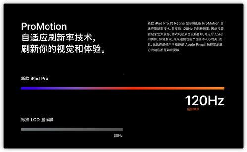 最新机型爆料视频大全,前沿科技与设计美学尽收眼底