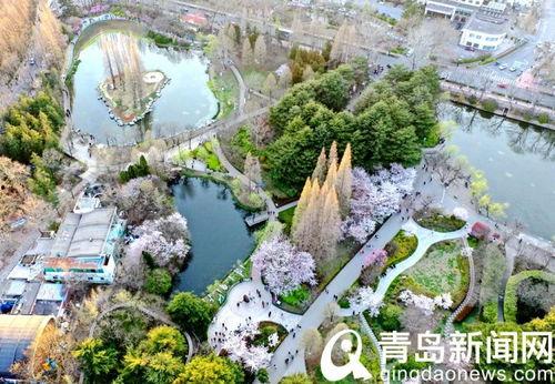 中山公园最新爆料信息网,揭秘公园焕新背后的故事